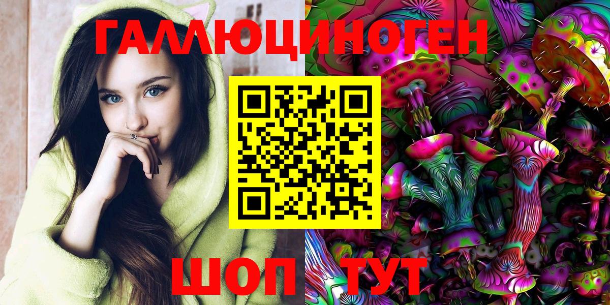 Псилоцибиновые грибы Psilocybe Великий Новгород