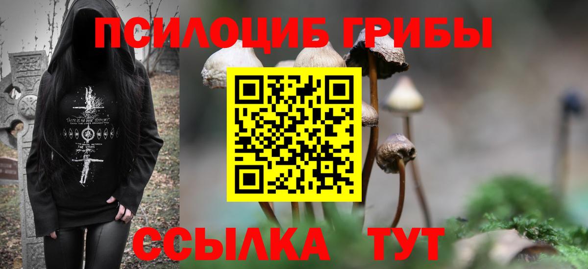 Галлюциногенные грибы Magic Shrooms  Вход с VPN  Псилоцибиновые грибы MAGIC MUSHROOMS  Великий Новгород 